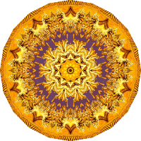 Discomedusae 24