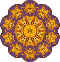 Discomedusae 22