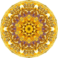 Discomedusae 26