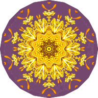 Discomedusae 29
