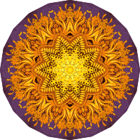 Discomedusae 39