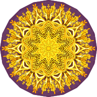 Discomedusae 31