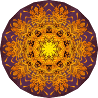 Discomedusae 40