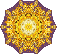 Discomedusae 34