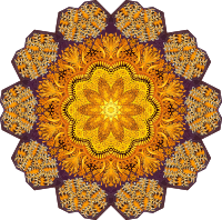 Discomedusae 37