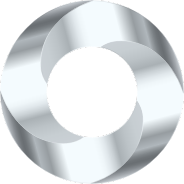 Silver Torus Screw