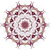 Ciliata 3