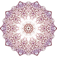 Ciliata 7