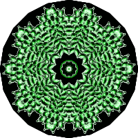 Bryozoa 26