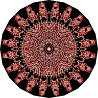 Bryozoa 25