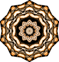 Bryozoa 30