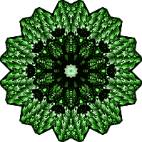 Bryozoa 29