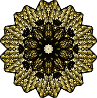 Bryozoa 32