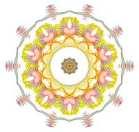 Nudibranchia 8