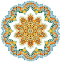 Nudibranchia 12