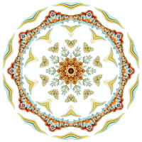Nudibranchia 14