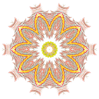 Nudibranchia 18