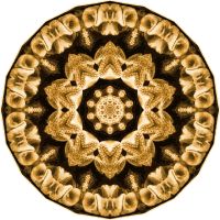 Hexacoralla 1