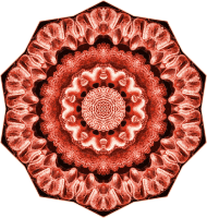 Hexacoralla 2