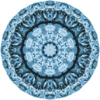 Hexacoralla 6