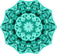 Hexacoralla 5