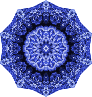 Hexacoralla 7