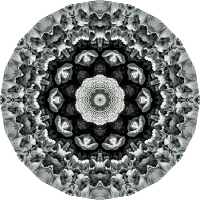 Hexacoralla 8