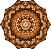 Hexacoralla 10