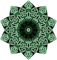 Hexacoralla 13