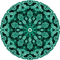 Hexacoralla 14