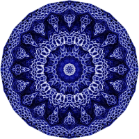 Hexacoralla 16