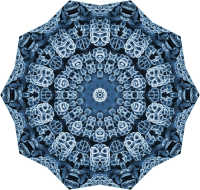 Hexacoralla 15