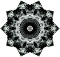 Hexacoralla 19