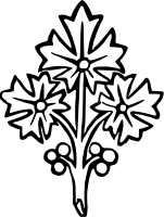 Flower 30