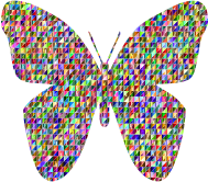 Chromatic Triangular Retro Floral Butterfly