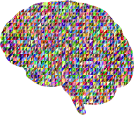 Chromatic Triangular Brain