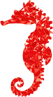 Ruby Seahorse