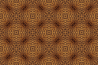Leopard fur pattern