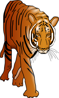 tiger