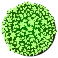 Tree-31