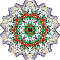 Trachomedusae 11