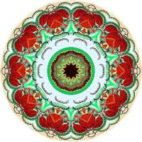 Trachomedusae 14