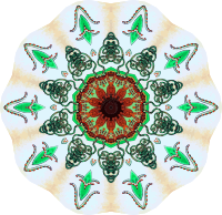 Trachomedusae 15