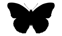 butterfly silhouette
