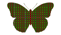 patterned butterfly 