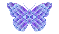 butterfly pattern generator