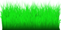 Grass Layered