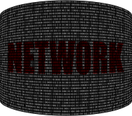 Binary Network 4