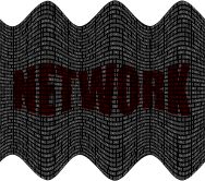 Binary Network 5