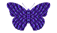butterfly pattern generator